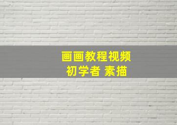 画画教程视频 初学者 素描